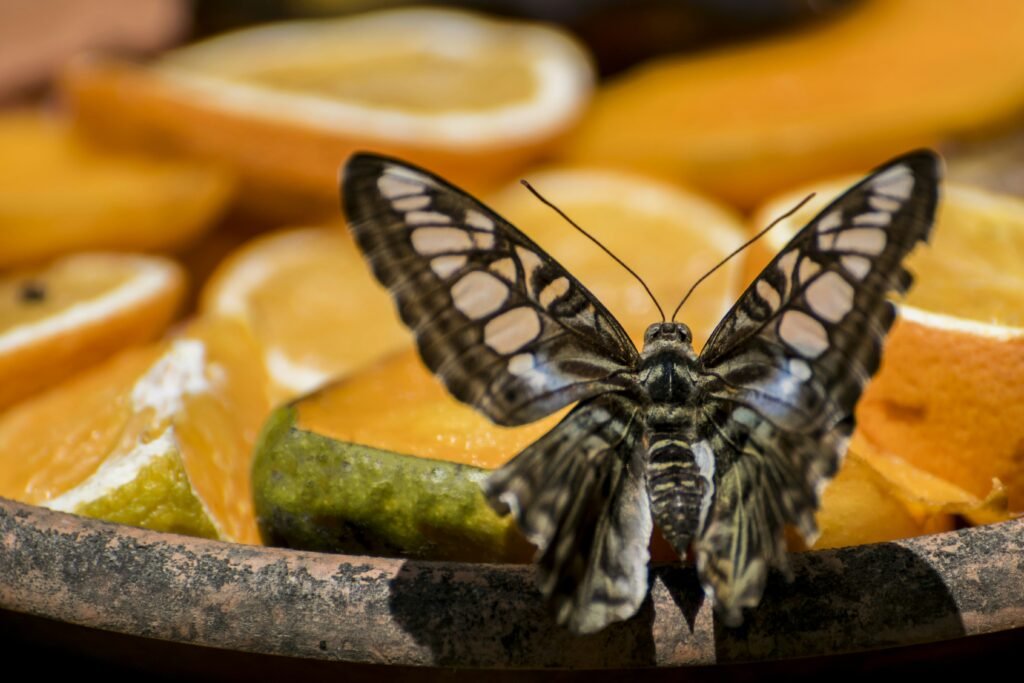 How Do I Deal With Mosquitoes And Other Insects While Camping?